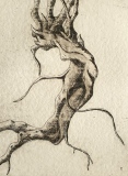 Racine zoomorphe-Dragon 3/10 - Gravures - Inspiration végétale.